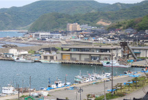 由良港