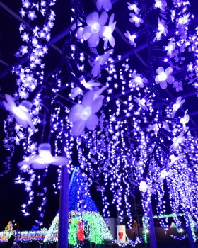 20221107_200405-scaled