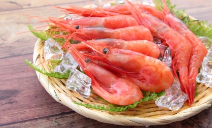 甘海老刺（約200ｇ）